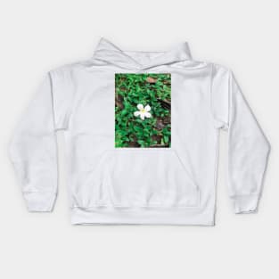 White Plumeria flower drop on the ground Kids Hoodie